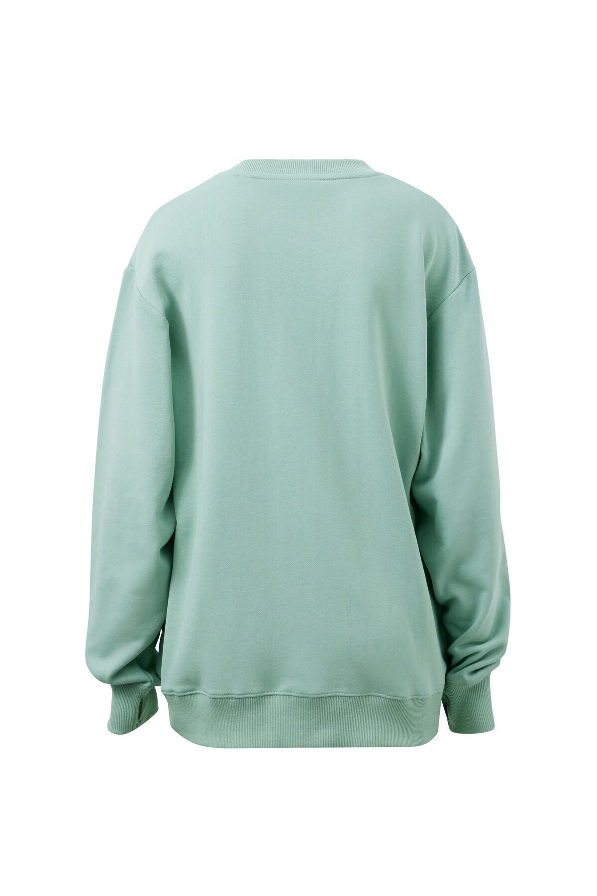 Isla Oversized Slouchy Crew (Seafoam/Polo Blue Heritage Logo) - Something For Me​​